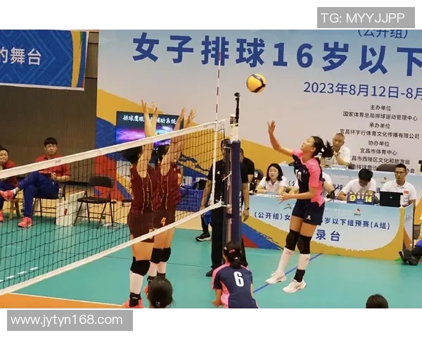 南京排球队的实力分析与发展潜力探讨